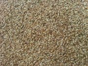 Лавровый лист ,  специи и приправы,  от производителя,  оптом из Грузии