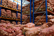 Продам Лук свежий урожай 2011года 3000 тонн