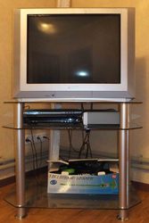 Телевизор Panasonic TC29EG20TS с подставкой