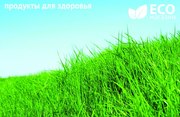 ЭкоМагазин. Для тех,  кто хочет жить здОрОво!	