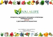 Продукты здорового питания и суперфуды ОПТОМ с доставкой по Казахстану