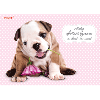 Канцтовары Proff со скидкой -40%!