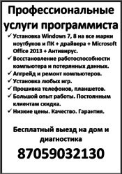 Профессиональные услуги программиста.