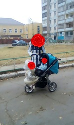 коляска для двоих для погодок