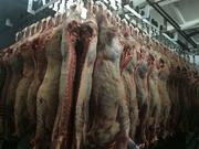 Мясо говядины