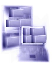 Разработка заказного программного обеспечения внутри компании