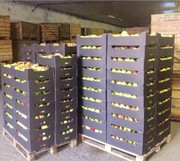 Яблоки оптом высший сорт г.Алмата