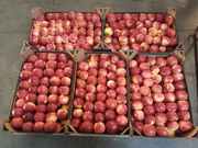 Яблоки польские оптом