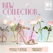 NEW COLLECTION in WALK SAFARI