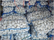 Чеснок, фрукты и овощи из Египта. Возможна совместная поставка.