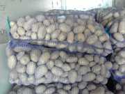 Картофель оптом
