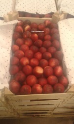 Персики (нектарин) в большом объёме