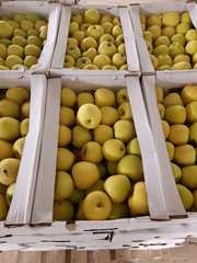 Продам яблоки