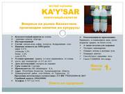 Впервые на рынке Казахстана производим напитки из кукурузы