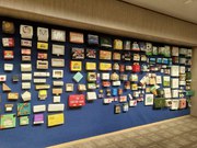 Упаковка под фаст-фуд,  WOK,  коробки